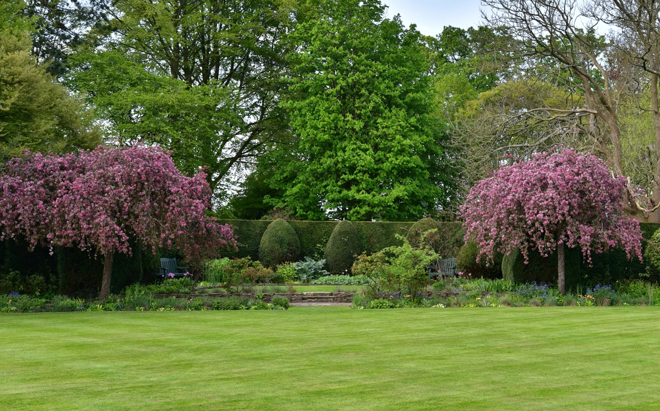Tree Surgery and Site Clearance: Protecting Property, Adding Value